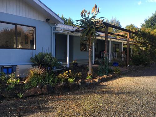 a house with a palm tree in the front yard at Kerikeri Garden Homestead in Kerikeri