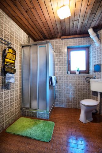 a bathroom with a shower and a toilet and a sink at Haus Sonneneck in Fügen
