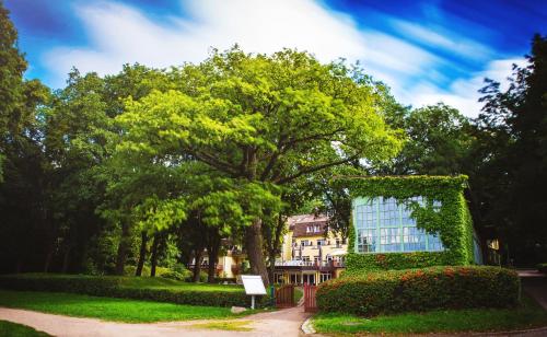 Taman di luar Kurhaus am Inselsee