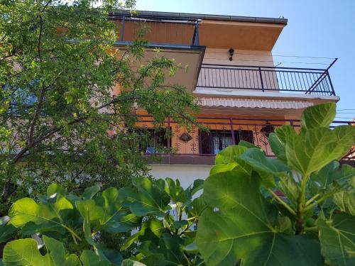 Apartments Ivka & Garden