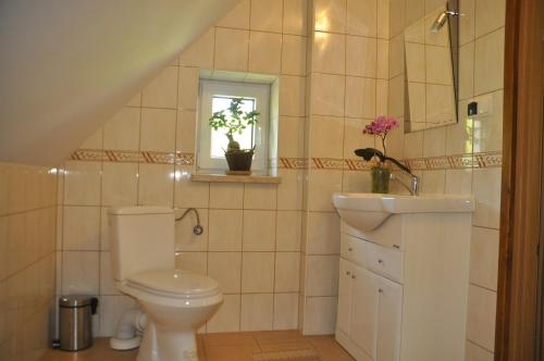 ein Bad mit einem WC, einem Waschbecken und einem Fenster in der Unterkunft Apartamenty Gawędówka in Krościenko nad Dunajcem