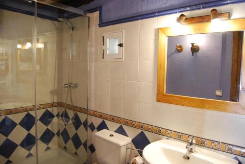 a bathroom with a toilet and a shower and a sink at Casa Azon in Oliván