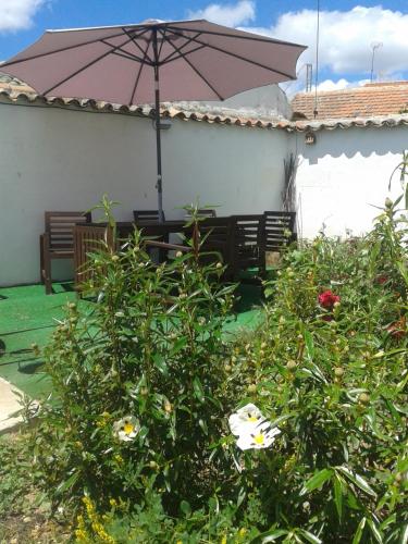 Κήπος έξω από το Casa Oretani