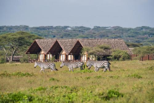 Gallery image of Lake Ndutu Luxury Tented Lodge in Sinoni