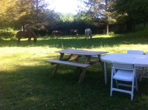 a picnic table and chairs and horses in the grass at Gite Vezelay in Chamoux