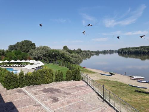 a group of birds flying over a river at Prestige Hotel in Belene