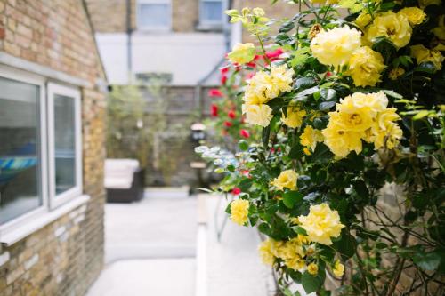 a bunch of yellow flowers on the side of a building at Sea View Sanctuary Apartment! in Margate