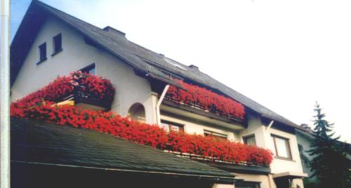 Gallery image of Haus Hubertus in Winterberg