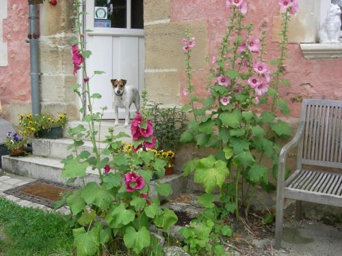 La Ferme Rose – Photos 3