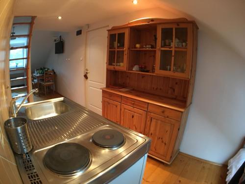 a kitchen with a stainless steel stove and a sink at Studio z widokiem na Palenice in Szczawnica