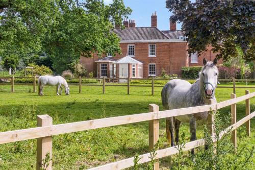 two horses standing in a field behind a fence at Lingwood Hall in Lingwood