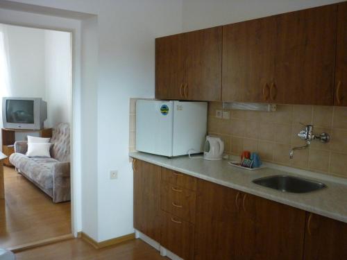 Kuchyň nebo kuchyňský kout v ubytování Hotel U Apoštola