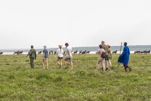Gallery image of Lake Ndutu Luxury Tented Lodge in Sinoni