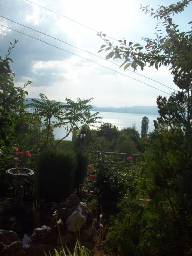 Gallery image of Vila Anastas in Ohrid