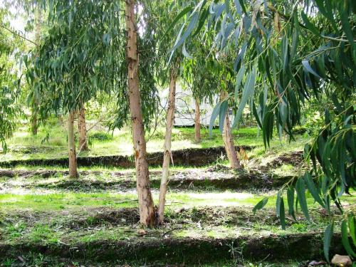 Taman di luar Camping du Soleil