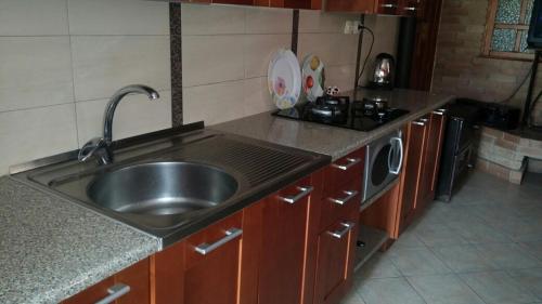a kitchen with a sink and a stove at Lux villa on the river Dnipro in Kirovskoye