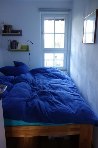ein blaues Bett in einem Zimmer mit Fenster in der Unterkunft Ferienhaus Quick's Cottage in Roetgen