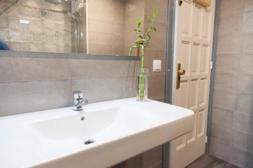 a bathroom with a sink and a vase with a plant at Apartaments Atzavara in Calella