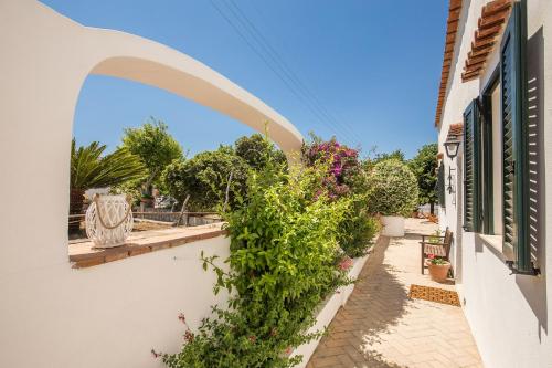 Κήπος έξω από το B&B "i Magi"