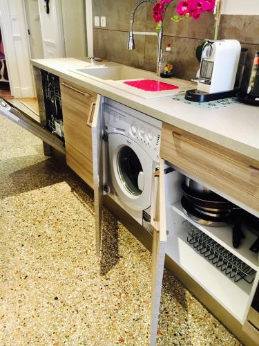 une cuisine avec une machine à laver sous un comptoir dans l'établissement Appartment Le Charme du Bourgeois, à Nice