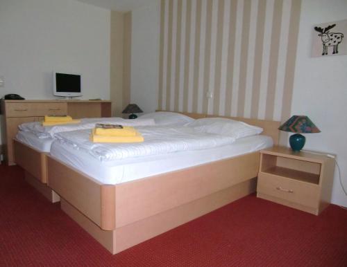 a large bed in a room with a television at Landhaus Pfahlershof in Karolinenkoog