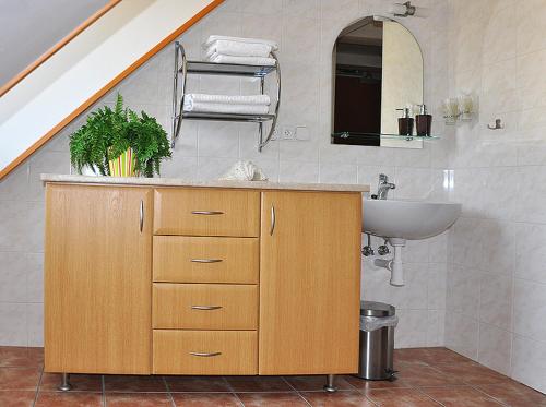 a bathroom with a sink and a sink at Apartmány Rosalka in Stará Oleška