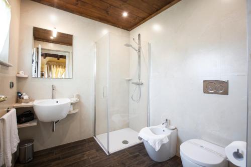 a bathroom with a shower and a toilet and a sink at Residenza San Vito in Calamandrana
