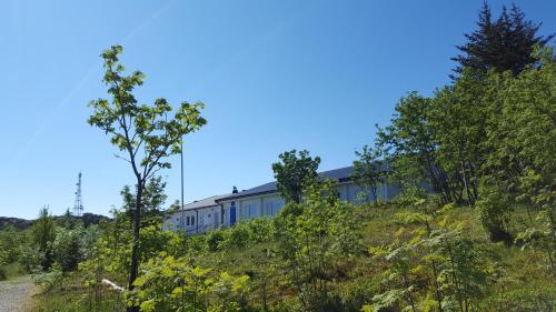 ein Gebäude auf einem Hügel mit Bäumen in der Unterkunft Sørvågen INN in Sørvågen