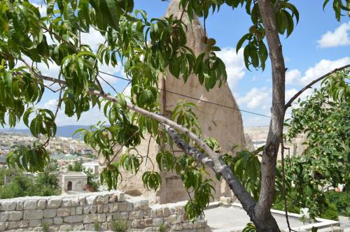 a tree in front of a stone wall with a view at Elite Cave Suites in Goreme
