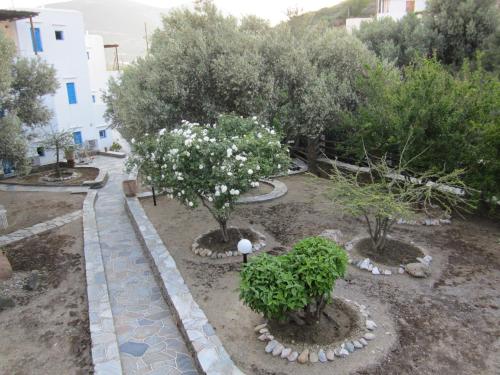 Gallery image of Alexandros Hotel in Platis Yialos Sifnos