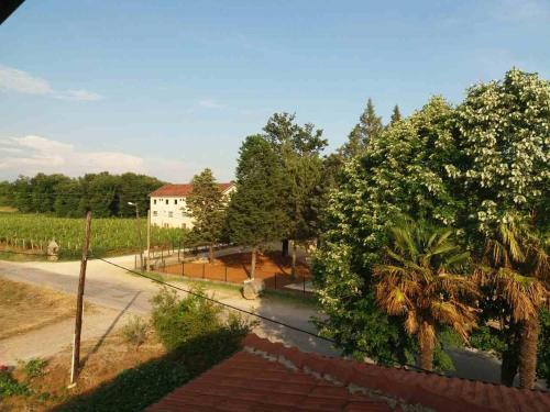 a view of a street with a tree and a building at Pansion Ljubica in Međugorje