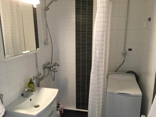 ein Badezimmer mit einem Waschbecken, einem WC und einem Spiegel in der Unterkunft Lapland Quality City Apartment Rovaniemi in Rovaniemi