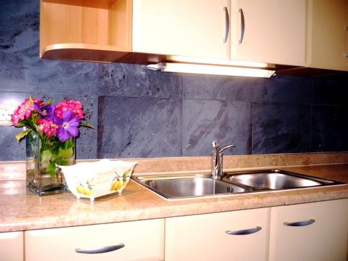 blat kuchenny ze zlewem i wazonem kwiatów w obiekcie Apartments Karmen Pula w Puli