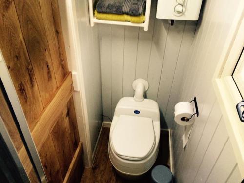 a small bathroom with a toilet and a wooden door at Mid Wales Luxury Huts in Darowen