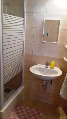 a bathroom with a sink and a shower at Penzion Rose in Štúrovo