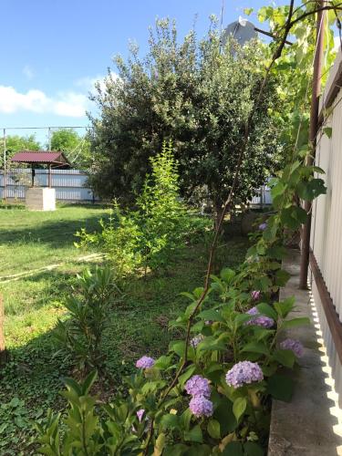 Κήπος έξω από το Guest House Evkalipt