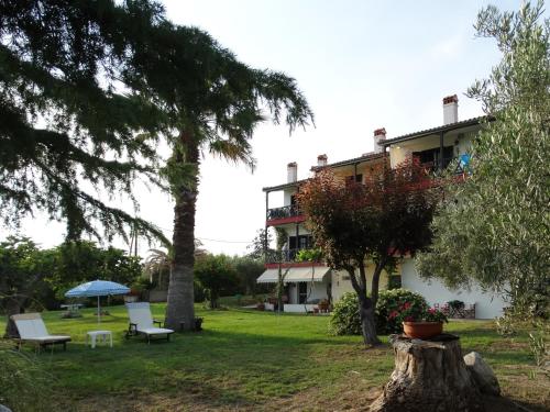 Κήπος έξω από το Apartments Karpetis a green paradise