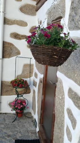 Fotografie z fotogalerie ubytování CoutoRural v destinaci Vila Nova de Gaia