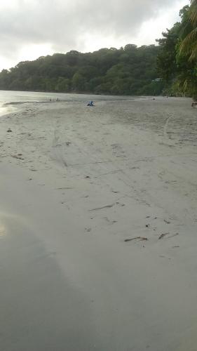 a sandy beach with footprints in the sand at Posada Miss Portia in Providencia