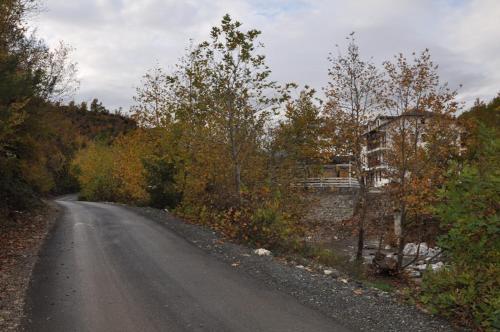 a dirt road with trees on the side of the road at Hotel Marub in Rubik