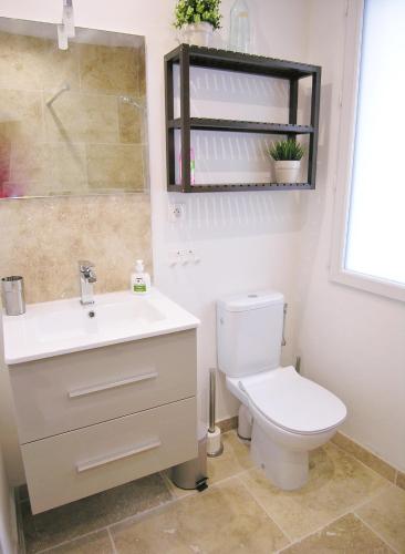 uma casa de banho com um WC, um lavatório e um espelho. em Appart vieil Antibes em Antibes