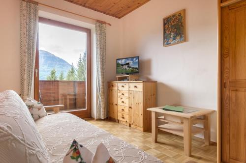 Schlafzimmer mit einem Bett, einem TV und einem Fenster in der Unterkunft Bio-Bergbauernhof Weger in Dellach