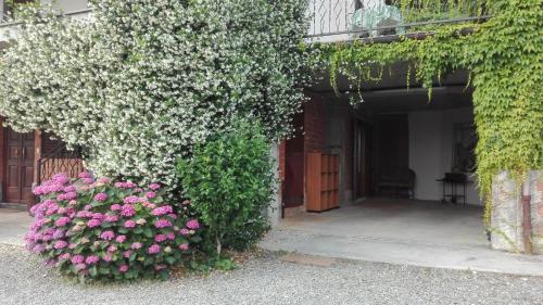 a bush with pink flowers on the side of a building at Casa Statiella in Acqui Terme