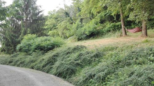 a road with a hammock on the side of a forest at Casa Statiella in Acqui Terme