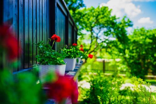 a balcony with red flowers on a black fence at Willa SPAcja in Wężówka