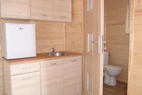 a bathroom with a sink and a toilet at Domki Letniskowe u Susła in Sianozety