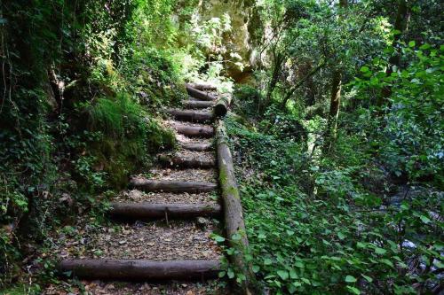 a set of stone stairs in a forest at Villa Roxani in Mesklá