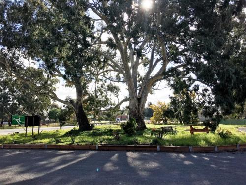 Κήπος έξω από το Motel St Arnaud