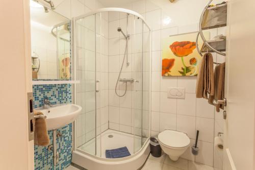 a bathroom with a shower and a toilet and a sink at Haus im Naturpark am Steinhuder Meer in Steinhude