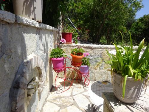 a patio with three plants on a stone wall at Elena Rista Studios in Parga